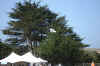 DSC05372.JPG (2073871 bytes)