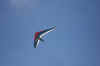 DSC05436.JPG (1492133 bytes)